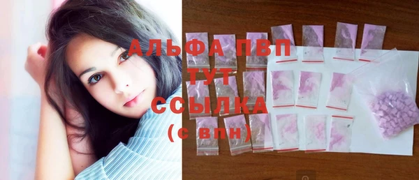 стафф Богородицк