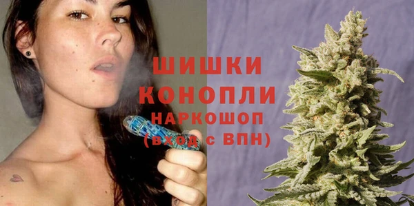 PSILOCYBIN Богданович