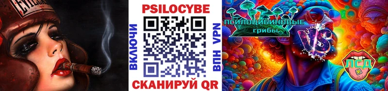 Псилоцибиновые грибы ЛСД  закладка  Елабуга 