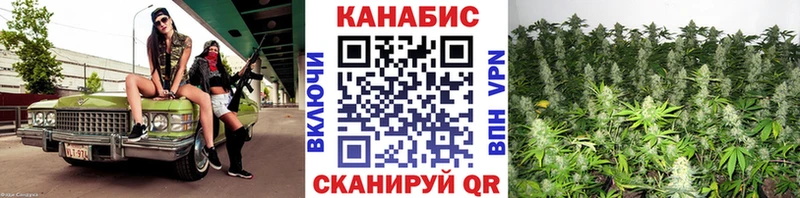 Бошки марихуана марихуана Елабуга